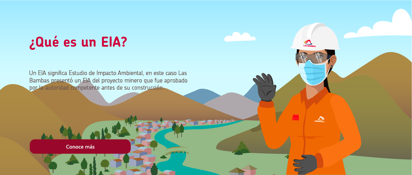 ¿Qué es un EIA?