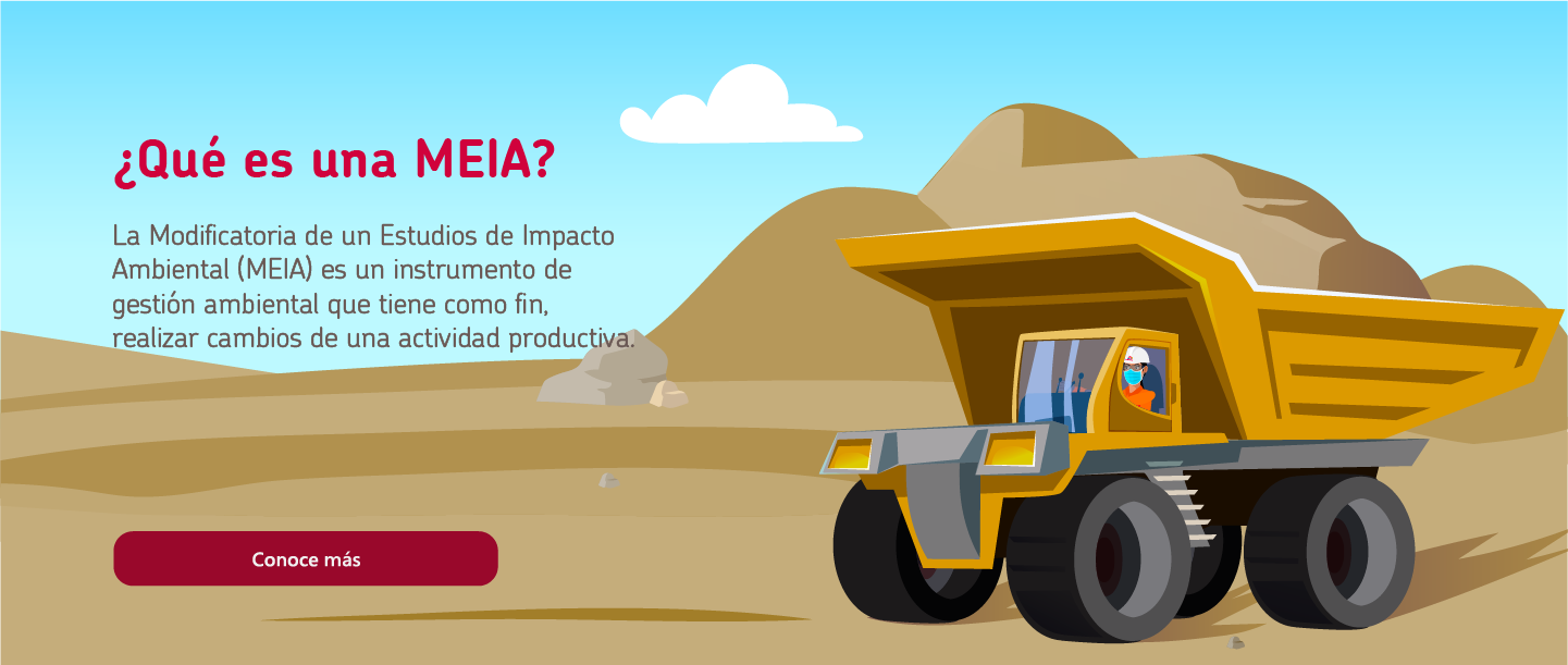 ¿Qué es un MEIA?