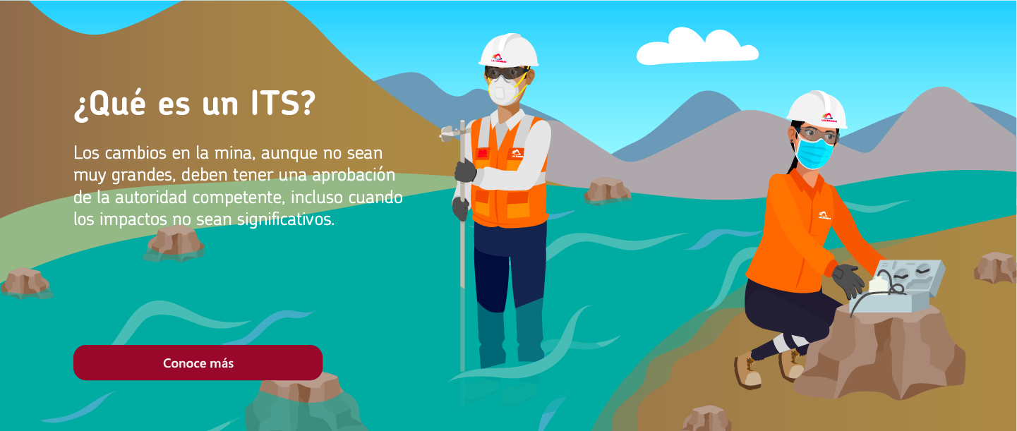 ¿Qué es un ITS?